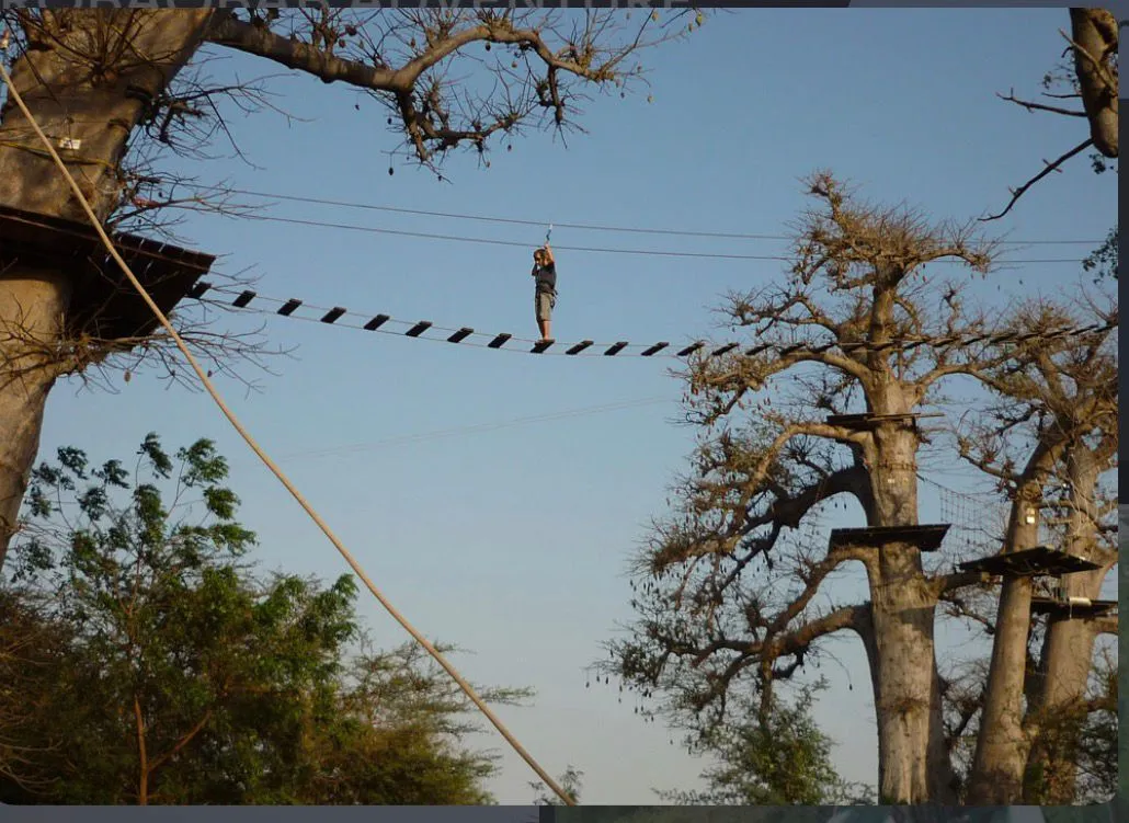 ACCROBAOBAB