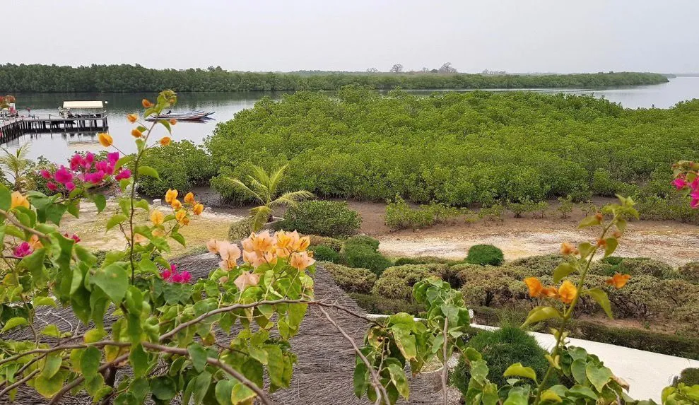 EXCURSION SINE -SALOUM 2