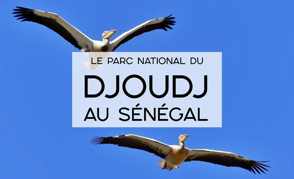Parc national des Oiseaux du Djoudj