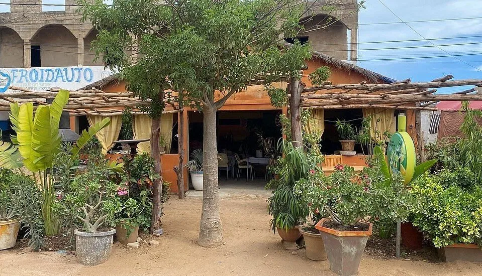 Baobabs Saly