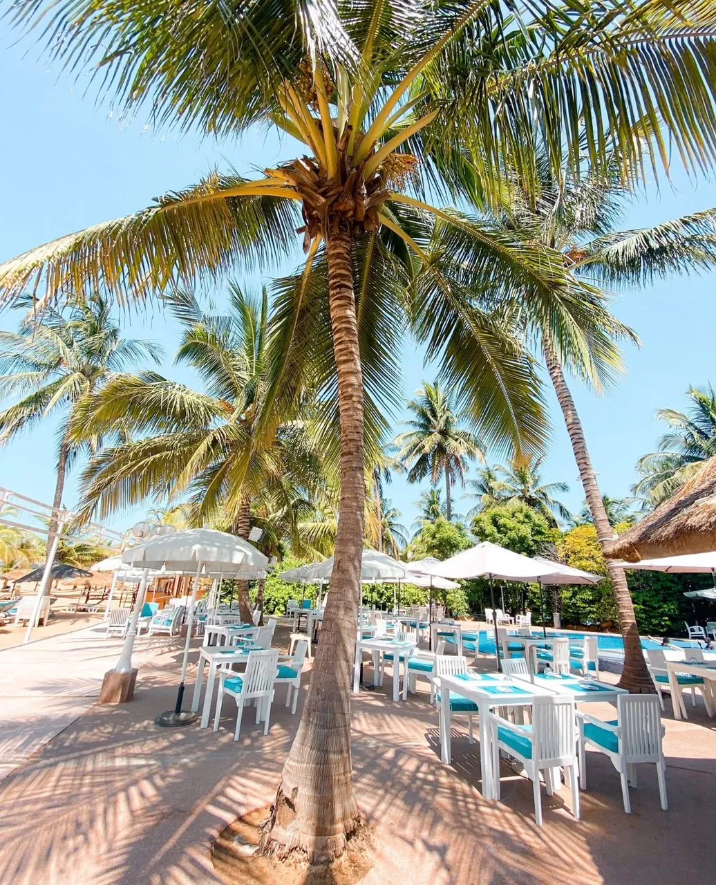 SAFARY BEACH 5