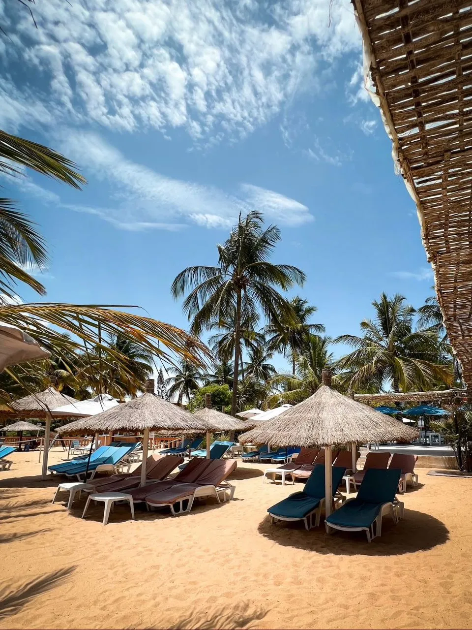 SAFARY BEACH 3