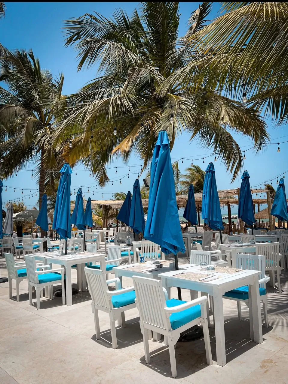 SAFARY BEACH 1